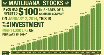 FOUR GANJA STOCKS THAT MAY BE WINNERS (OR YOU COULD LOSE IT ALL)